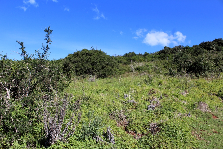 0 Bedroom Property for Sale in Riverview Water Front Estate Eastern Cape